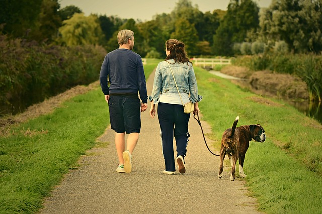 Criteria for Selecting a Dog Breed