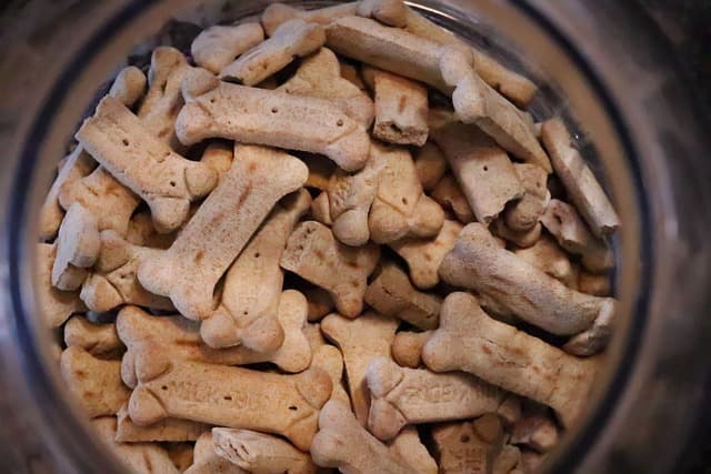 Natural or Dry Food: Which is Better for Dogs?
