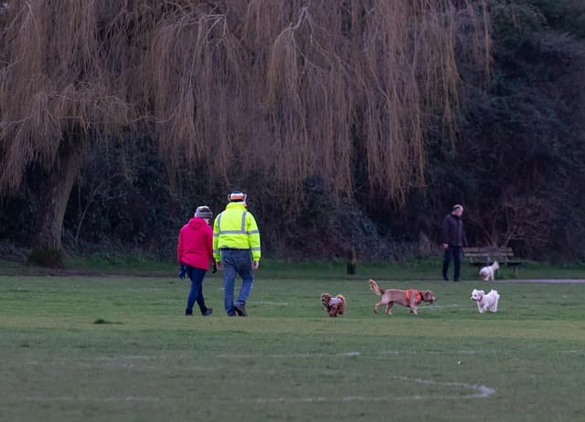 dog-walking